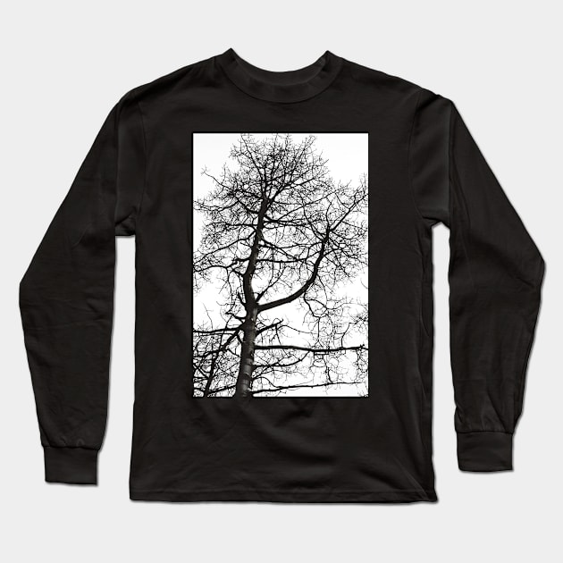 tree Long Sleeve T-Shirt by pholange